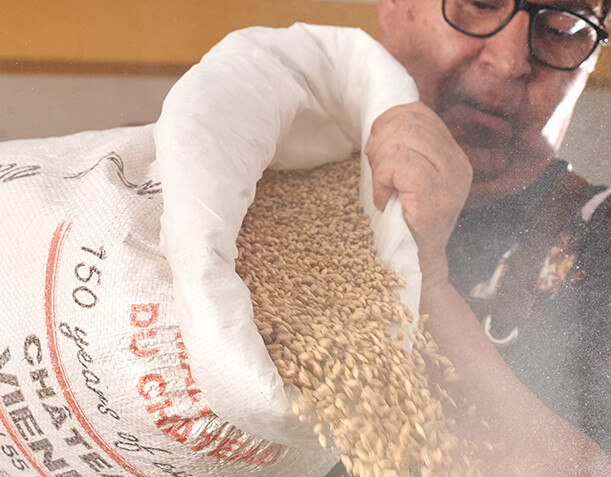 maestro cervecero agreganndo cebada en la preparacion de cerveza