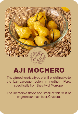 aji mochero