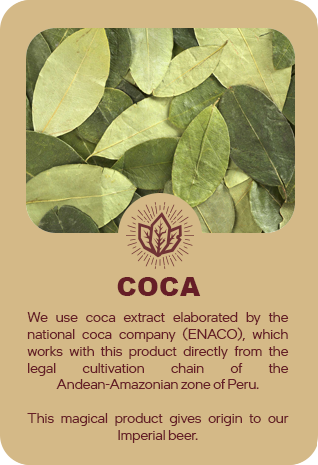 coca leaf