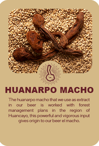 huanarpo macho