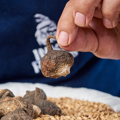primer plano maca negra